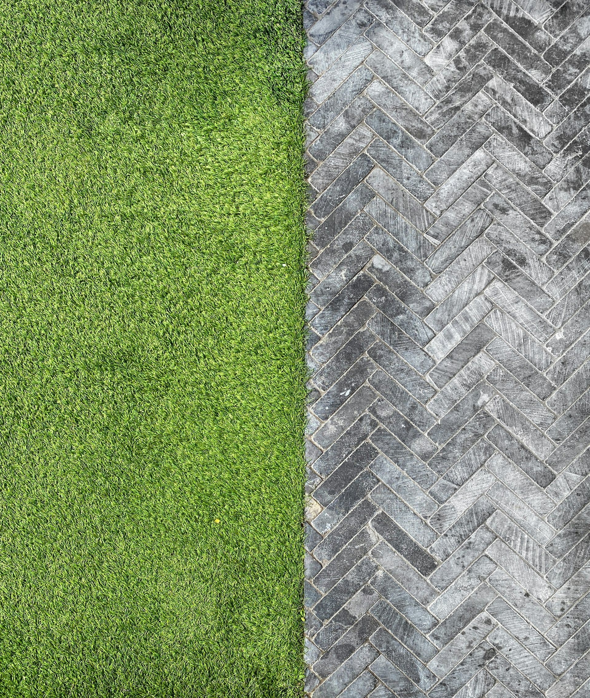 Manicured turf meeting a paver walkway
