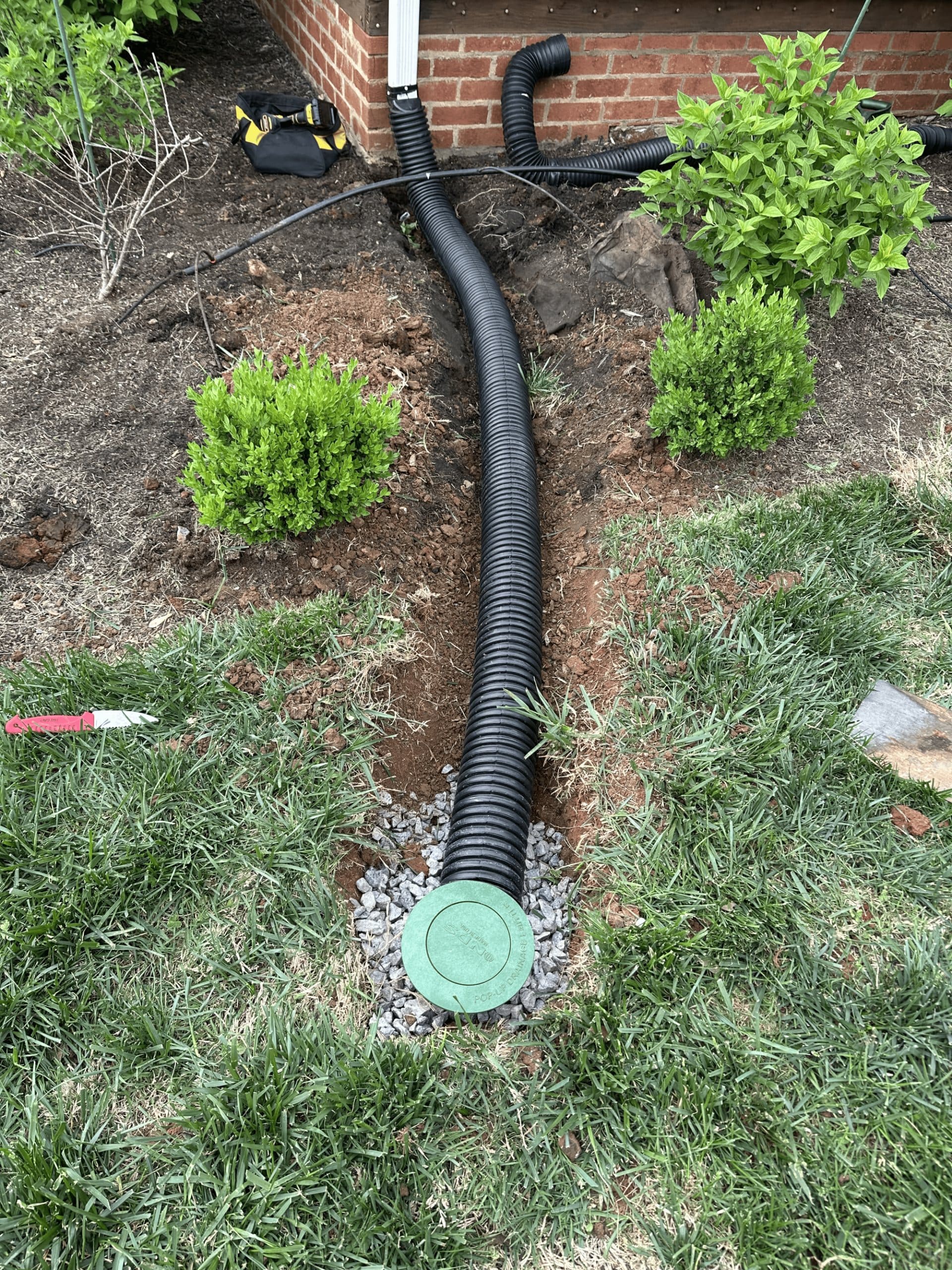 Downspout drain line routed to a pop-up emitter