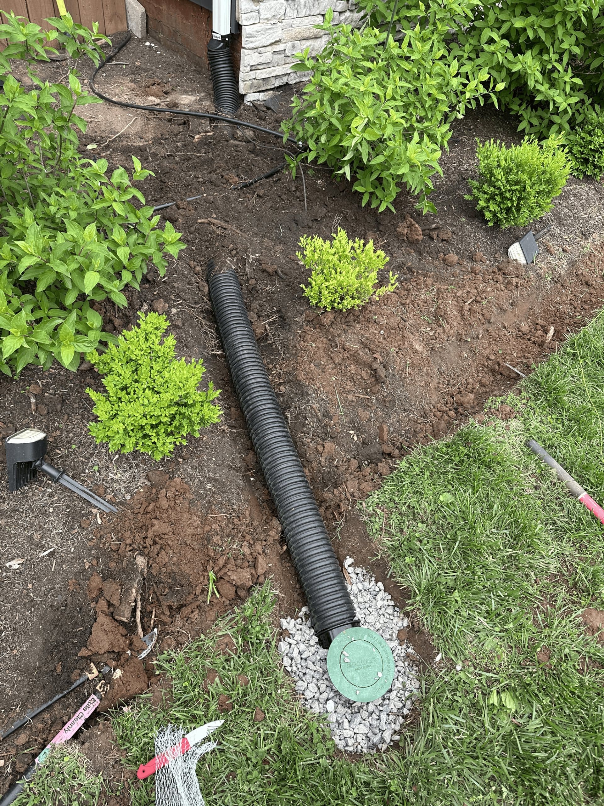 Buried drain line discharging to a pop-up emitter in the lawn