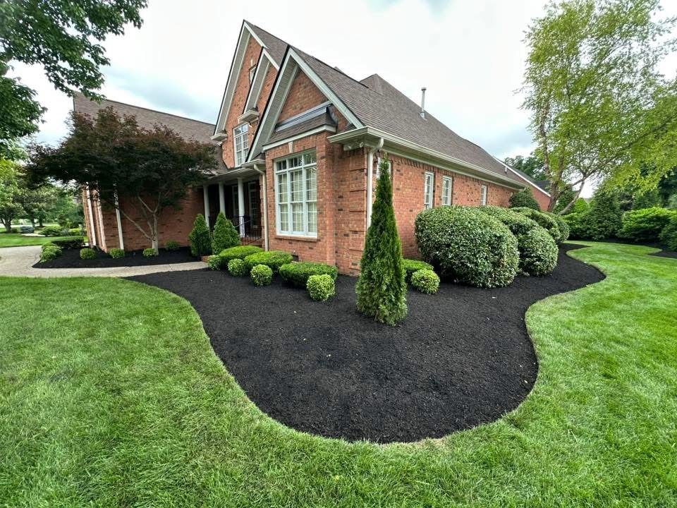 Curved mulch bed with shaped shrubs along a brick home