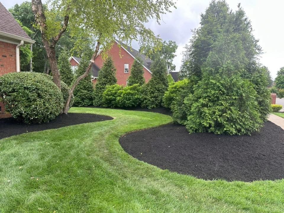 Crisp bed edges and fresh mulch around evergreen plantings