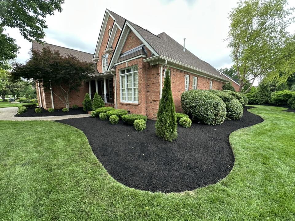 Fresh dark mulch around foundation plantings