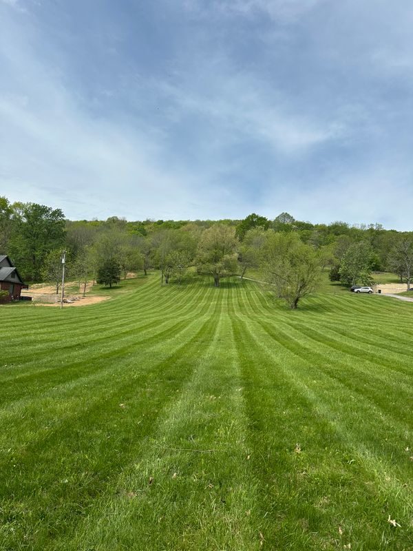 Wide green lawn after aeration and overseeding