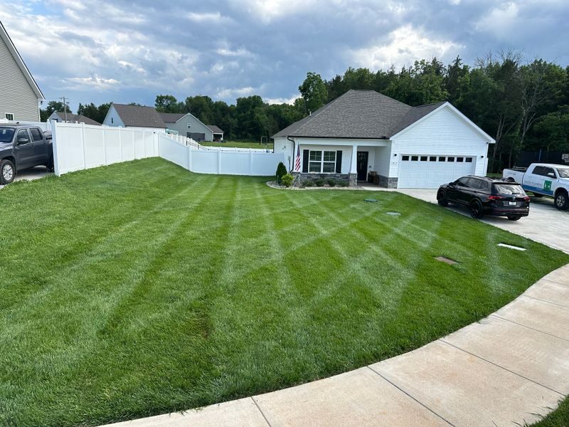 Lush striped lawn at a neighborhood home