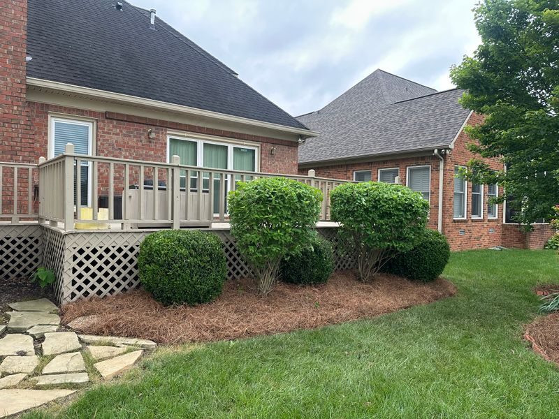 Maintained shrub beds at a residential property