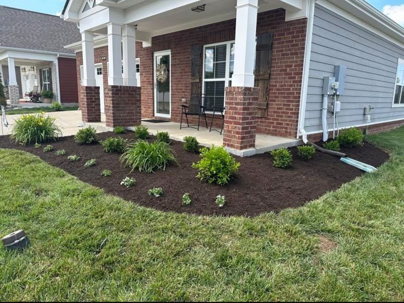 Ornamental grasses and shrubs newly planted in a mulch bed