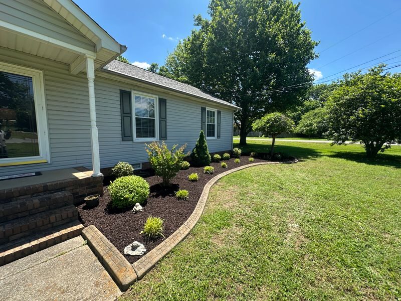 Clean edged mulch bed with plantings