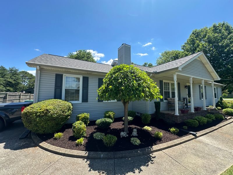Front beds with shaped shrubs and an ornamental tree