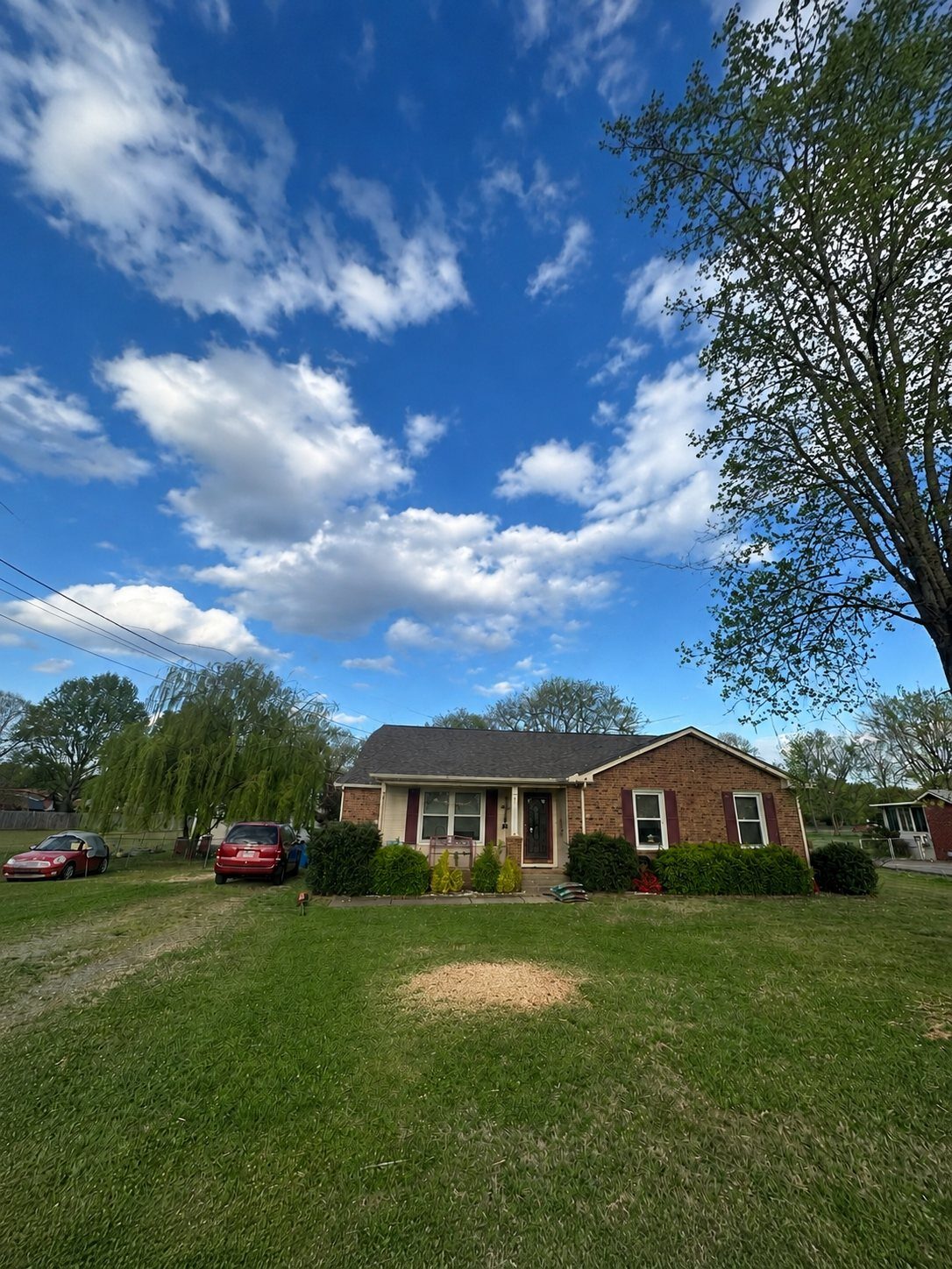 Front yard after removal of a declining shade tree