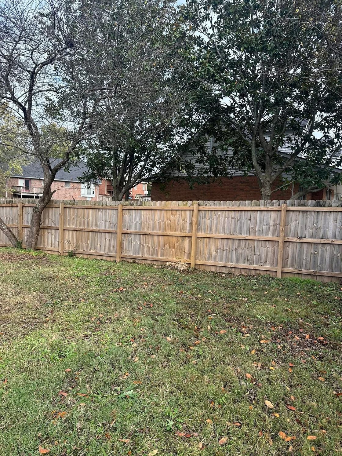 Cleared fence line after tree trimming and cleanup