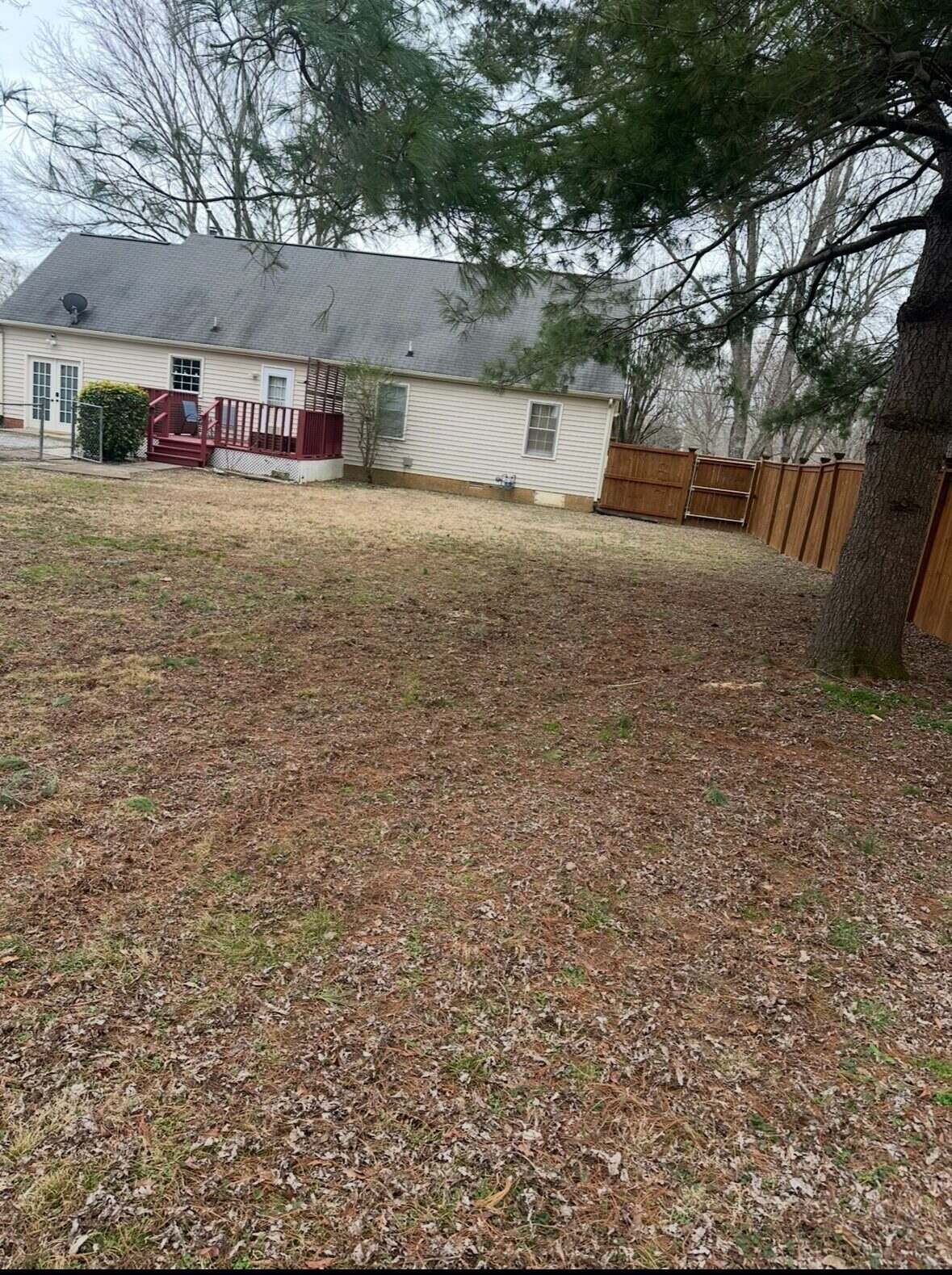 Backyard cleared after storm debris removal